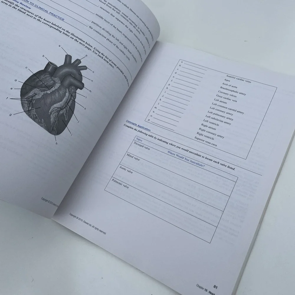 Seidel's Guide to Physical Examination Laboratory Manual Jane Ball